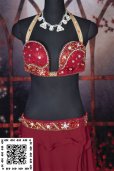 画像3: EgyptCostume（エジプトコスチューム）No,1 (3)