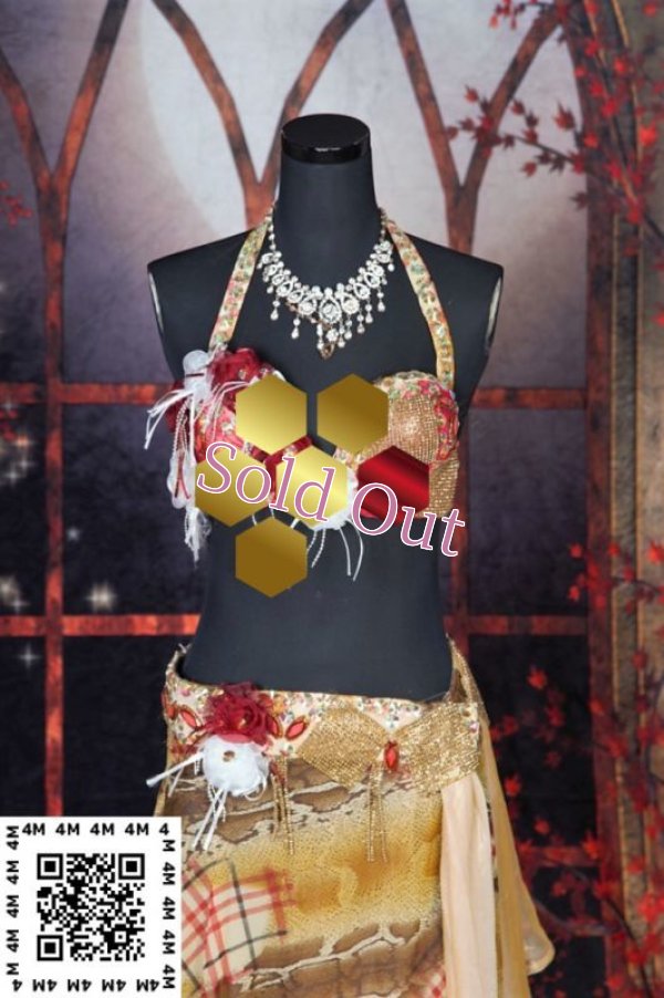 画像3: EgyptCostume（エジプトコスチューム）No,3