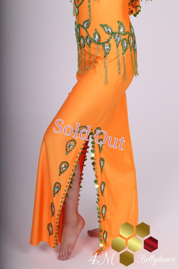 画像7: サイディ 9