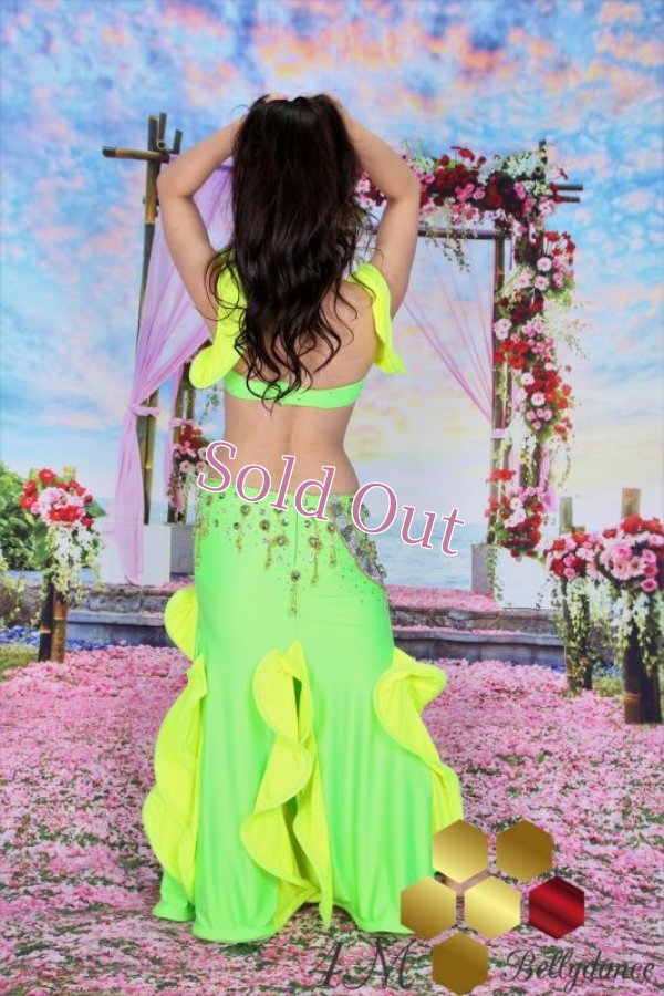 画像12: Emanzaki/Hodazaki  No,96