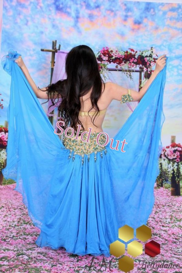 画像14: Emanzaki/Hodazaki  No,2