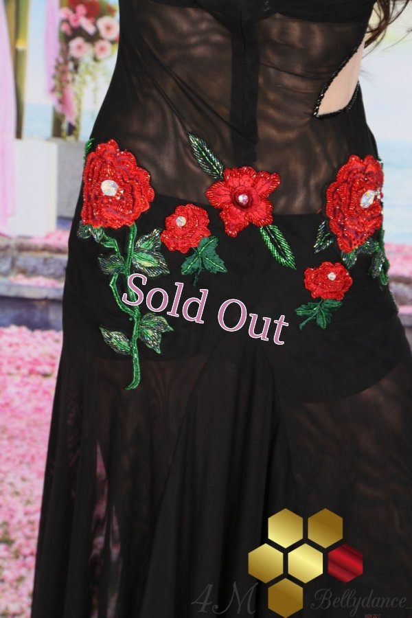 画像12: Emanzaki/Hodazaki  No,67