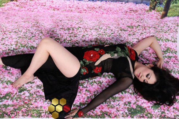 画像15: Emanzaki/Hodazaki  No,67