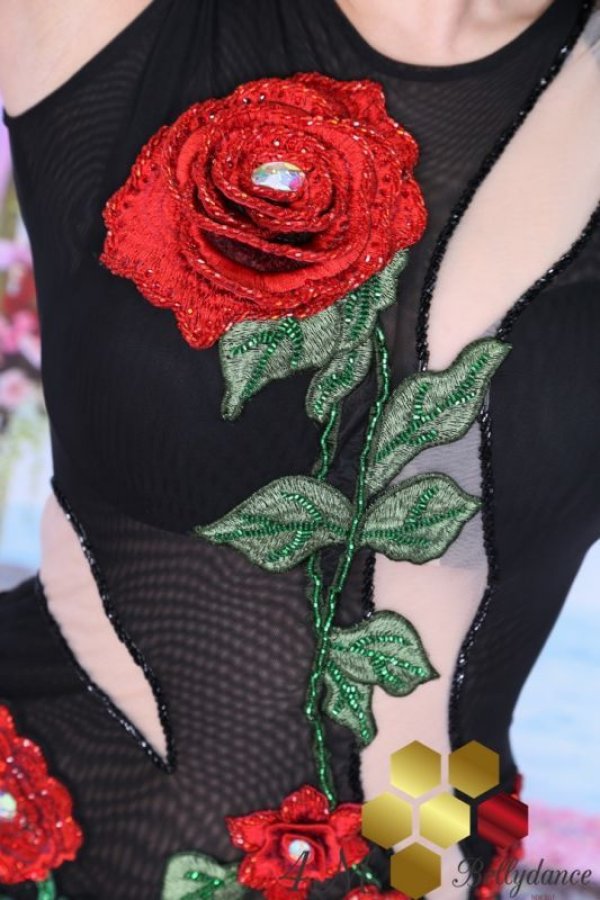 画像5: Emanzaki/Hodazaki  No,67