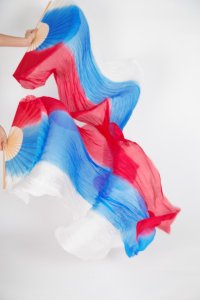 ファンベール(14)