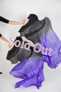 ファンベール41