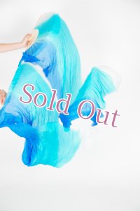 ファンベール15