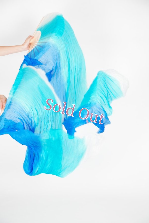 画像1: ファンベール15