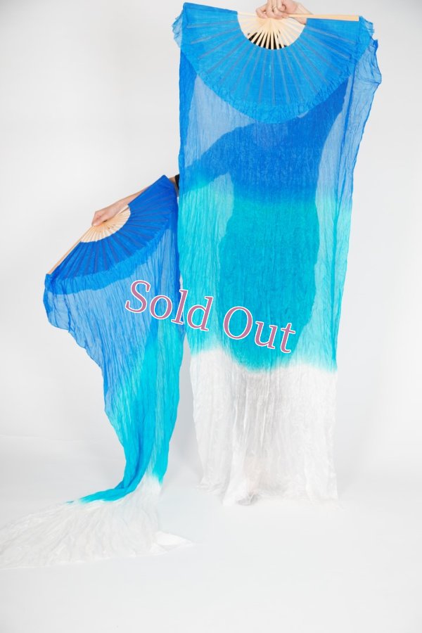 画像2: ファンベール2