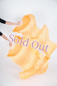 ファンベール43