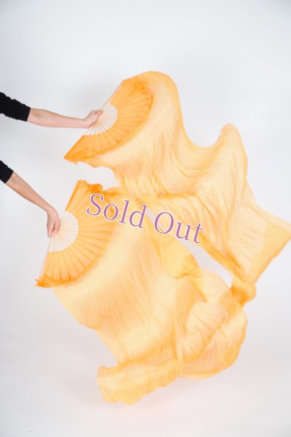 画像1: ファンベール43