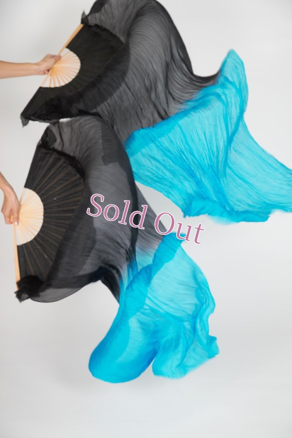 画像1: ファンベール2