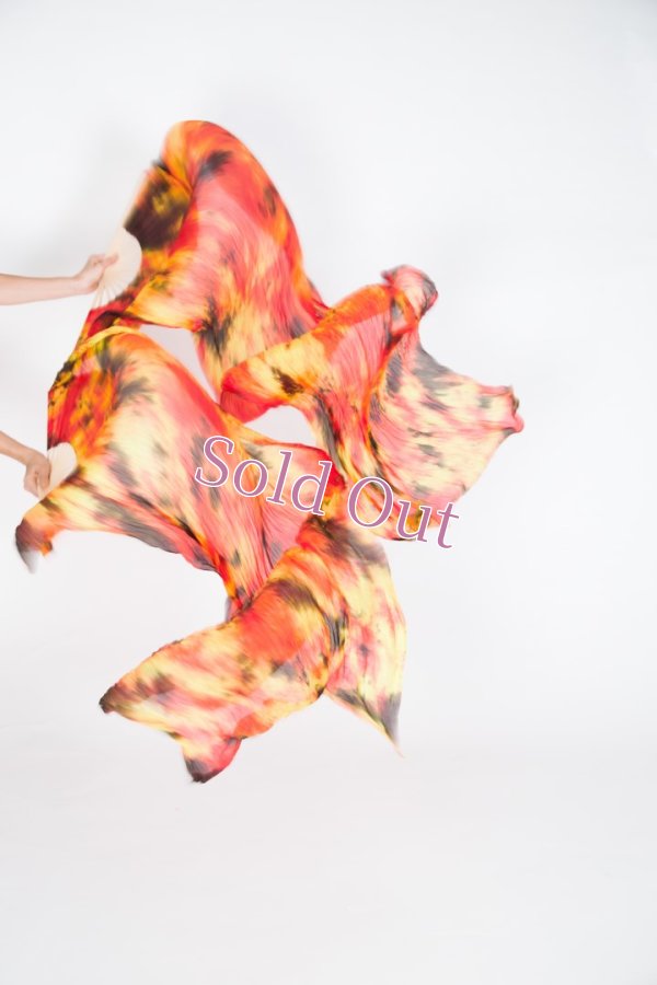 画像1: ファンベール48