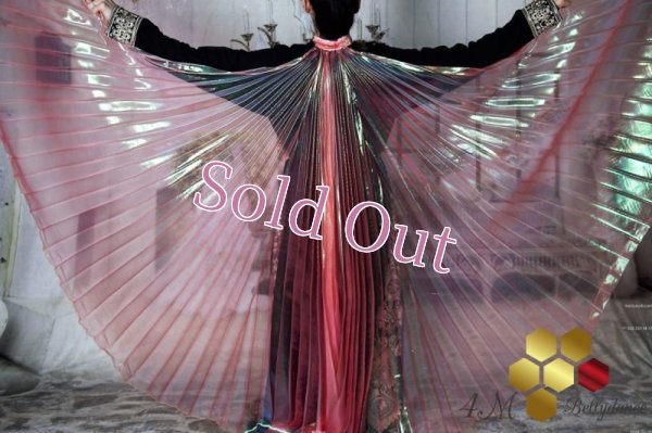 画像1: イシスウィング7　オーロラレッド