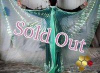 イシスウィング17　オーロラグリーン