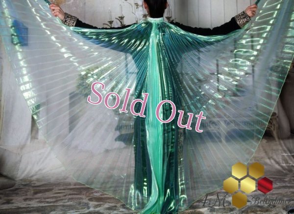 画像1: イシスウィング17　オーロラグリーン