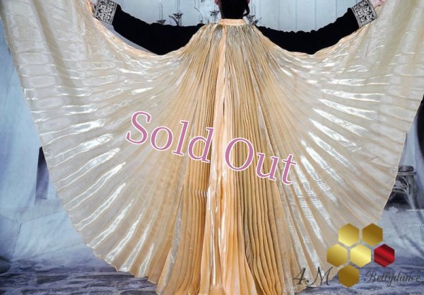 画像1: イシスウィング12　ベージュゴールド