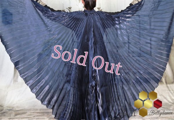 画像1: イシスウィング6　ネイビー