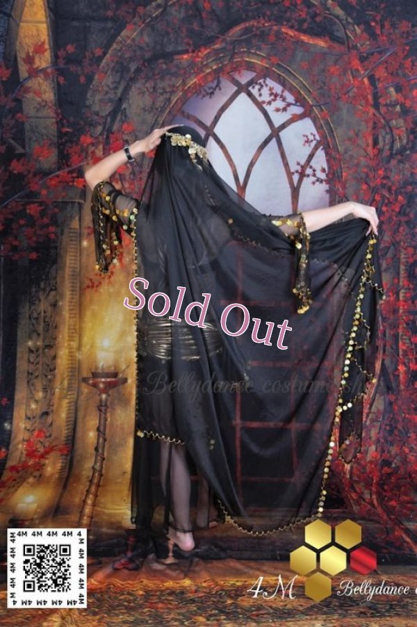 画像8: ガワジー(Ghawazee)