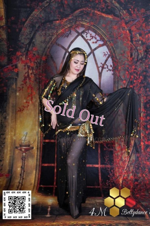 画像13: ガワジー(Ghawazee)