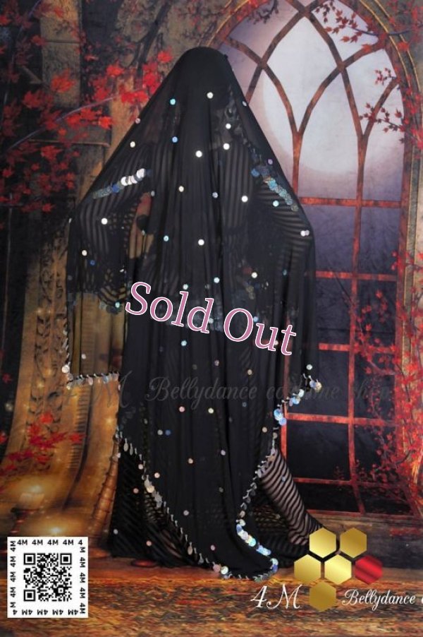 画像14: ガワジー(Ghawazee)