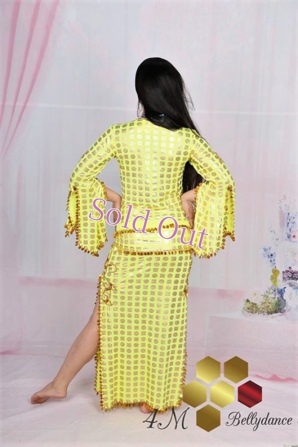 画像3: サイディ 100