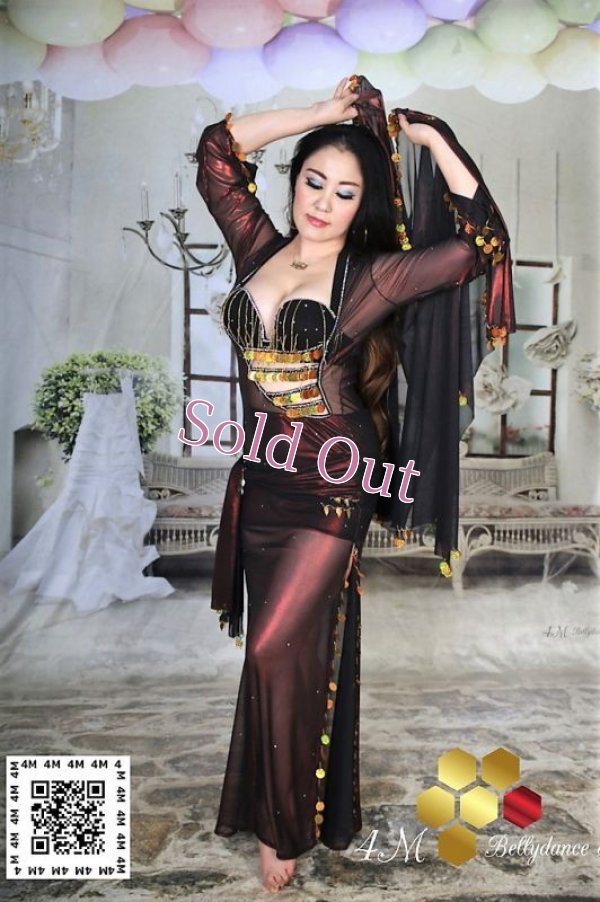 画像1: バラディNo,221