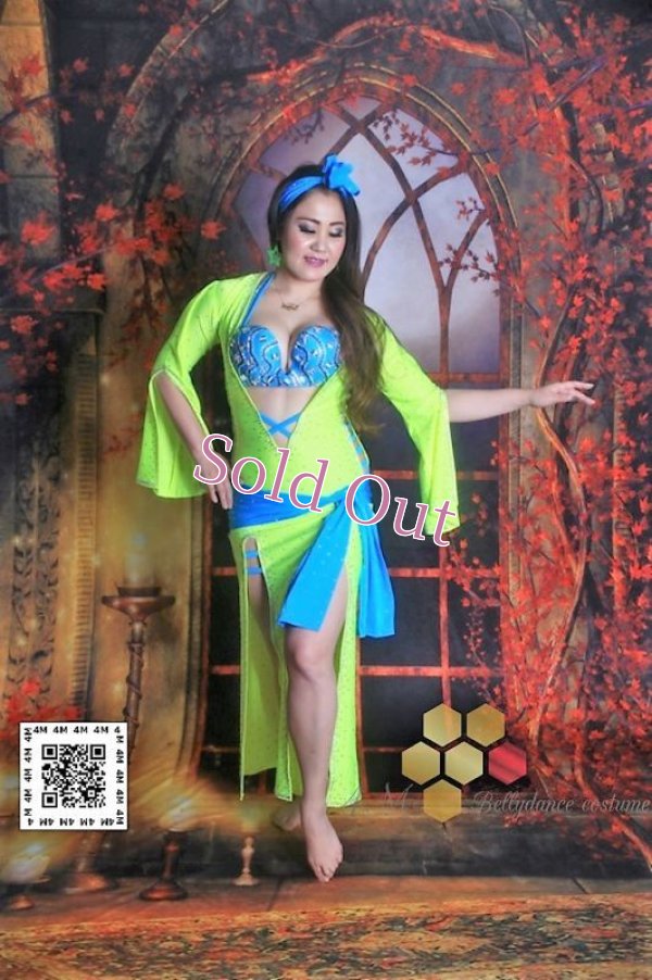 画像2: バラディNo,176