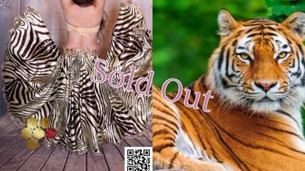 画像15: Aziza No,87