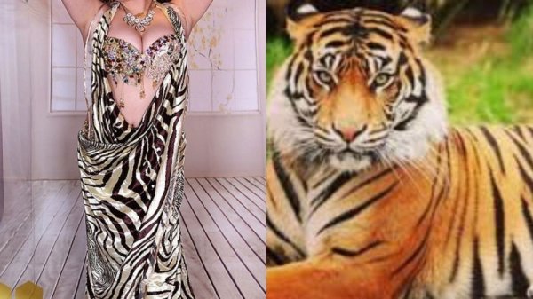 画像14: Aziza No,87