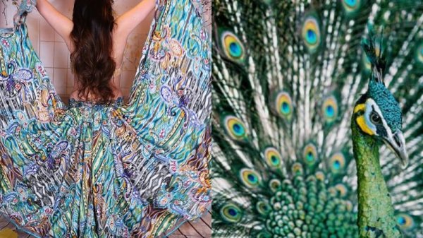 画像17: Aziza No,89