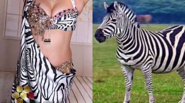 画像17: Aziza No,85