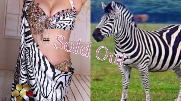 画像17: Aziza No,85