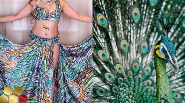 画像15: Aziza No,89