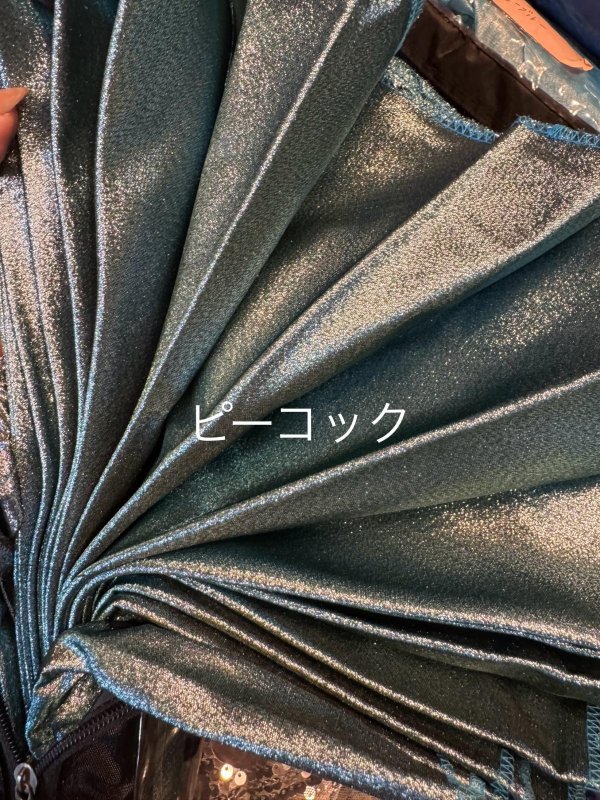 画像4: イシスウィング（厚め) ラメシリーズ