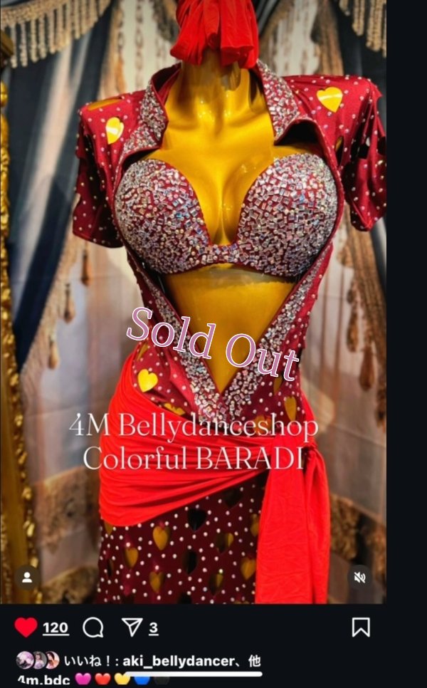 画像1: バラディNo,320