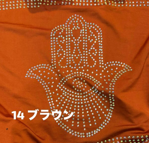 画像30: バラディNo,456