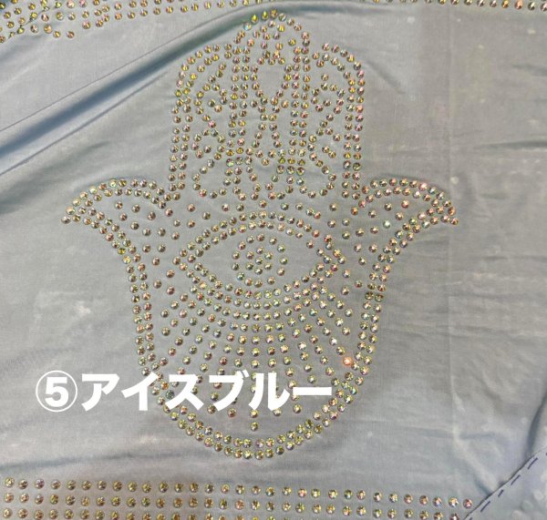 画像21: バラディNo,456