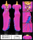画像2: イスカンダラーニ (2)