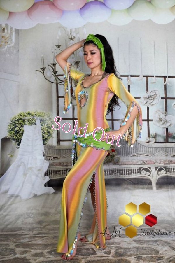 画像4: サイディNo,3