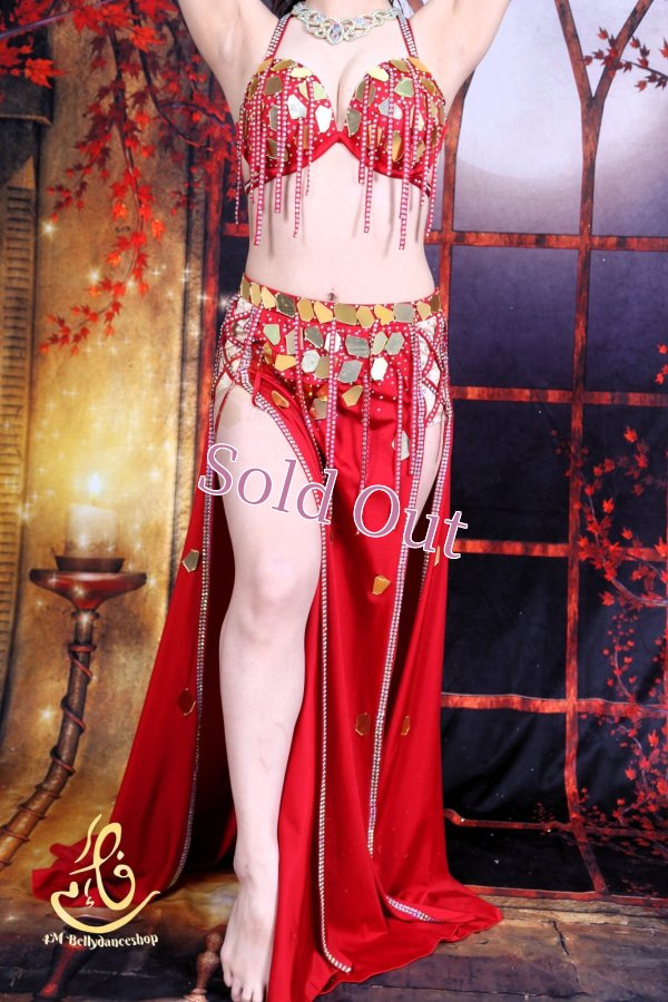 画像7: オリエンタル衣装　No,3