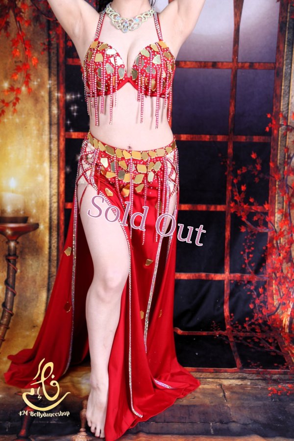 画像4: オリエンタル衣装　No,3