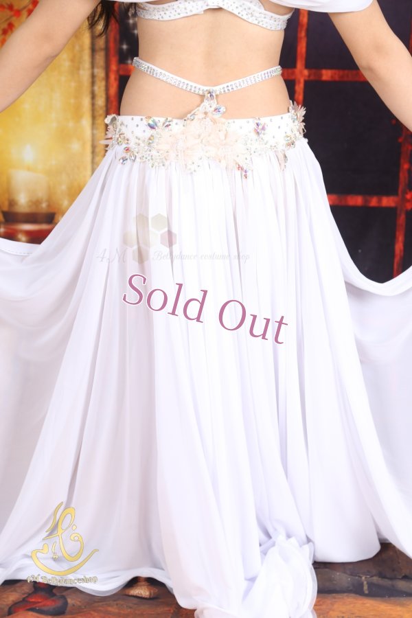 画像11: オリエンタル衣装　No,8