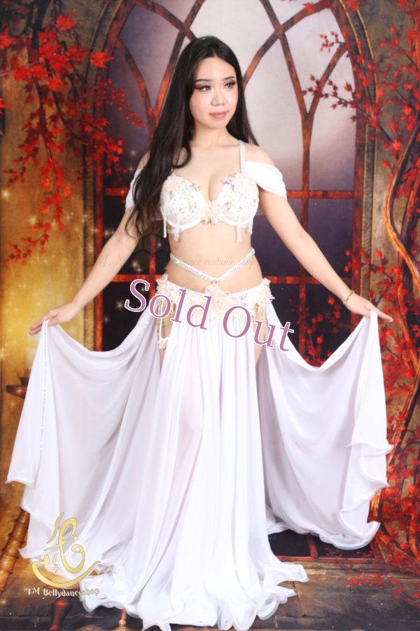 画像1: オリエンタル衣装　No,8