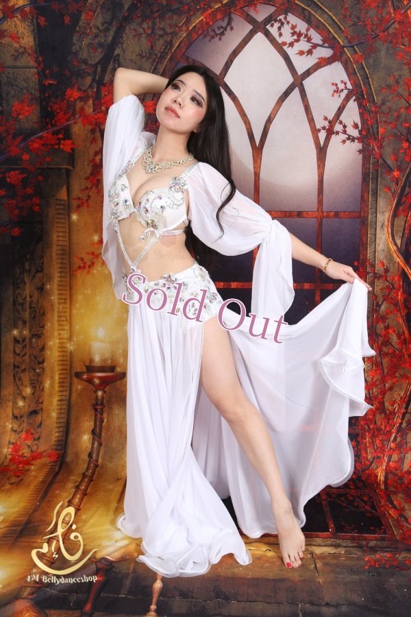 画像6: オリエンタル衣装　No,11