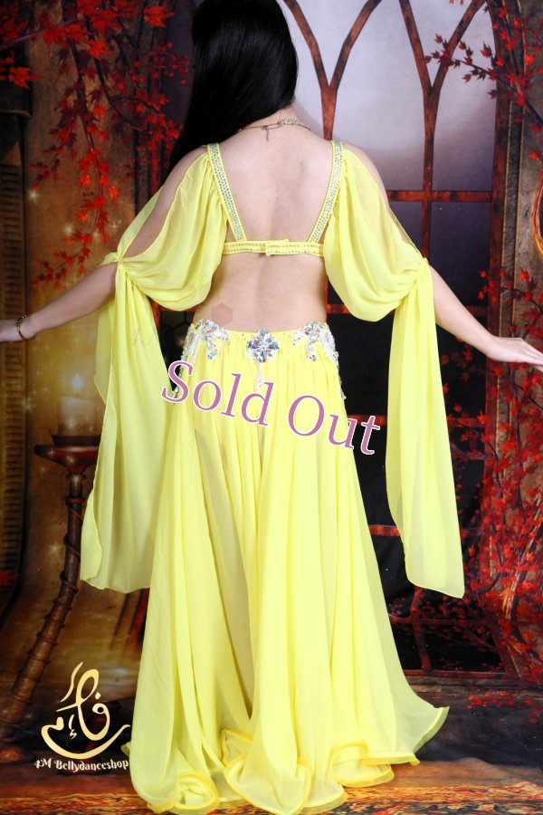 画像11: オリエンタル衣装　No,15