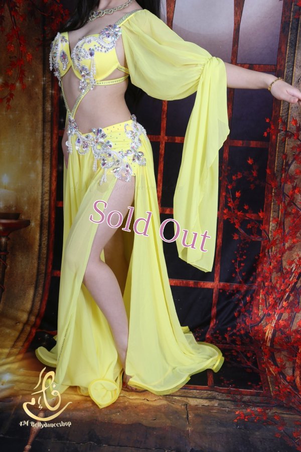 画像8: オリエンタル衣装　No,15