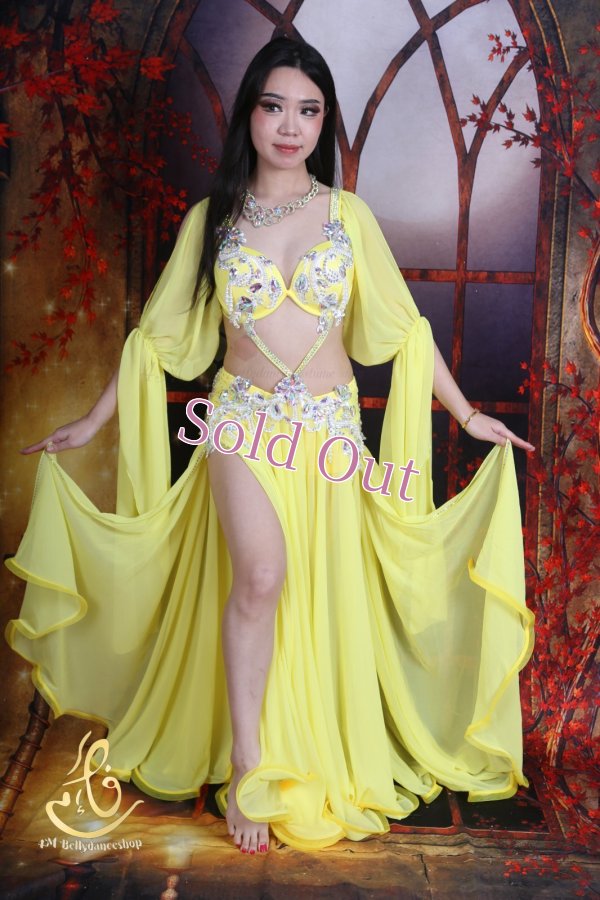 画像5: オリエンタル衣装　No,15