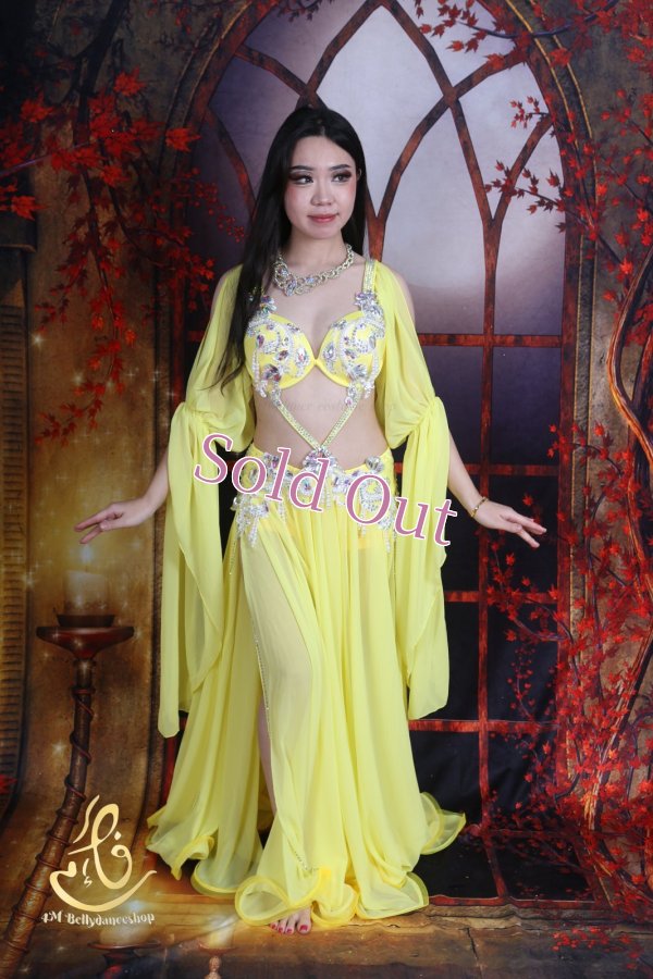 画像1: オリエンタル衣装　No,15