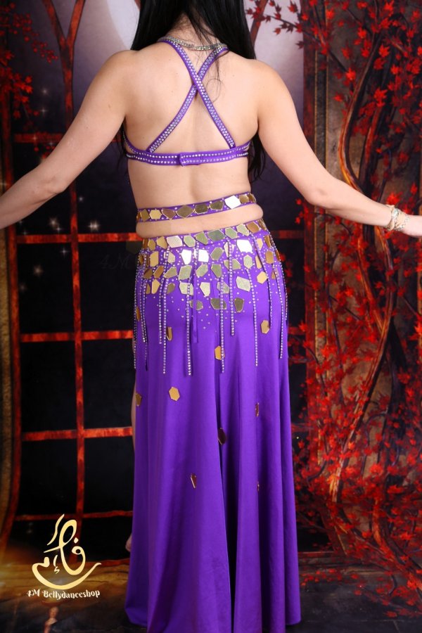 画像17: オリエンタル衣装　No,24